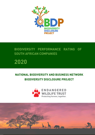 NATIONAL-DIVERSITY-PROJECT---BUSINESS-AND-NATURE-rating of sa companies