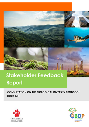 NATIONAL-DIVERSITY-PROJECT--feedback-report